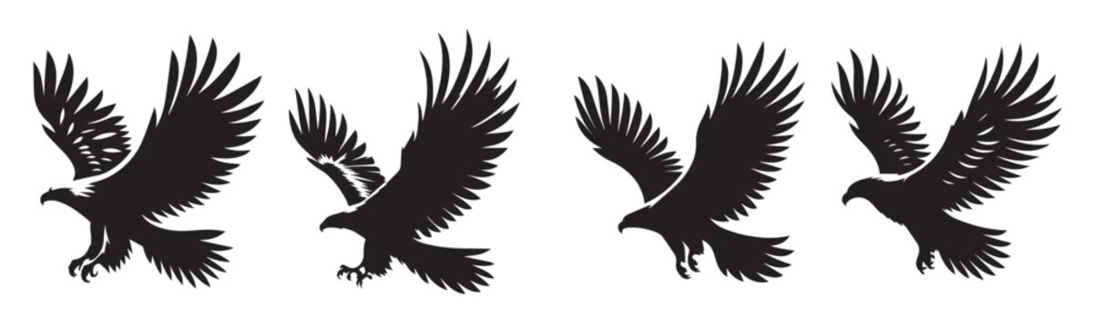 eagle bird fly wings black soild silhouette bundle isolated