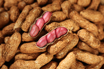Fresh Raw Peanuts in Shells with Red Skin Exposed - Natural Organic Nuts