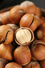 Handpeeled Mountain Hazelnuts with Shells and Dried Nuts - Natural Organic Food Ingredients