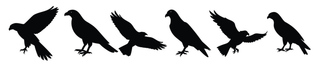 Eagle Hawk Falcon Bird Silhouettes Flying Hunting Vector