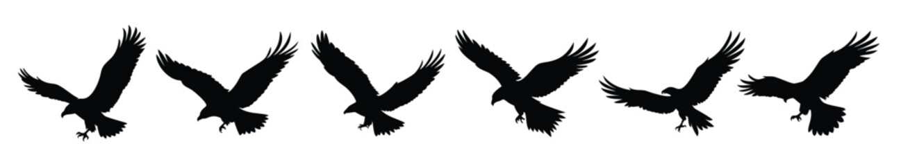 Eagle Silhouettes - Black Flying Bird of Prey Vector Clipart Set