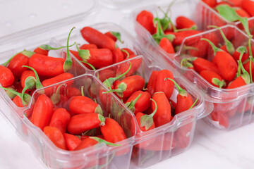 Fresh Red Goji Berries Wolfberries from Ningxia China in Plastic Containers Superfruit Harvest