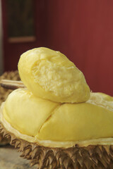 Fresh Golden Durian Fruit Segments in Natural Shell - Thai Tropical Exotic Food