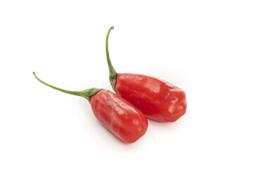 Fresh Red Goji Berries Wolfberries from Ningxia China Isolated on White Background
