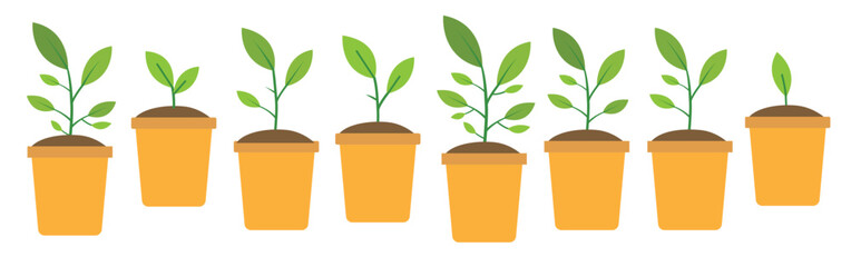 GROW UP PLANT ICONS