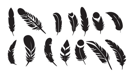 set of feathers vector design isolated on white
