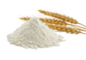 A prominent, fluffy mound of white wheat flour with three golden-brown wheat ears, against a bright white studio background, ample copy space, concept of natural baking ingredients purity