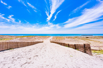 中田島砂丘 は 遠州灘海岸 にある 日本三大砂丘 の 砂丘 【 静岡県 浜松市 の 自然 風景 】