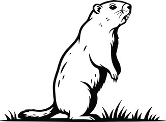 Obraz premium Groundhog standing alert in grass, wildlife rodent illustration, black and white animal drawing, nature scene, vector art, outdoor wildlife design