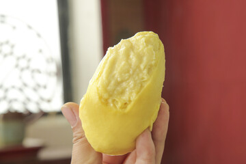 Fresh Golden Durian Fruit Flesh Held in Hand - Thai Tropical Fruit