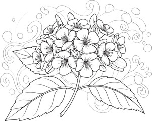 Elegant Heliotrope Flower Outline, Detailed Floral Illustration