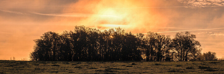 Winter sun rising behind a small woodland in a field on a misty morning in the Dordogne region of France