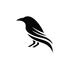 bird on a branch raven