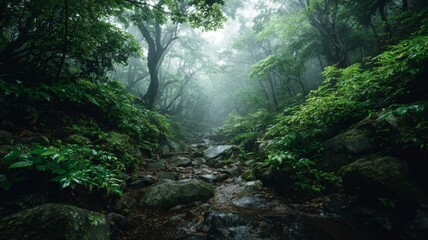 Lush tropical forest in japan with dense green trees and morning fog, serene jungle landscape for relaxation, spa and yoga wellness, eco-friendly sustainable nature escape, zen-inspired peaceful envir