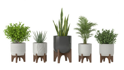 Collection of potted indoor plants with stands for home decor