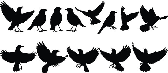 Set of multiple flying and sitting bird silhouettes, featuring different poses and wings positions, perfect for graphic design and nature projects.Set of multiple flying and sitting bird silhouettes, 