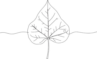 Minimalist single line drawing of a Catalpa leaf with elegant co