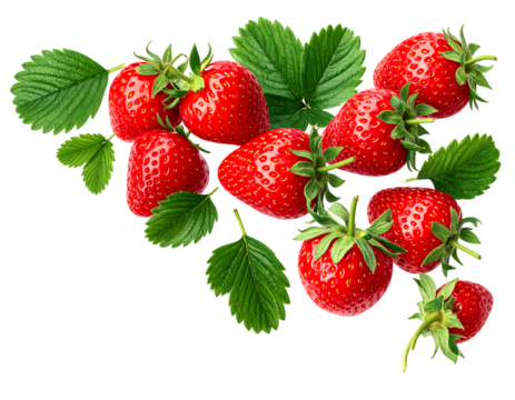新鮮ないちごが引き立てる鮮やかな甘さとナチュラルな魅力の表現|背景なし・透過PNG・コピースペース