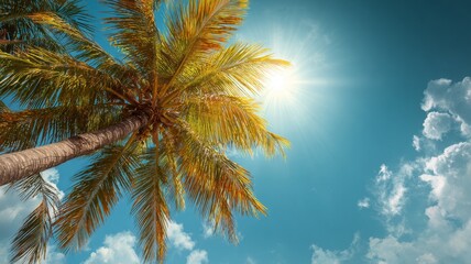 Tropical beach landscape with swaying palm trees bathed in warm sunlight under a bright blue sky, serene coastal scenery with soft golden light and calm tropical vibes