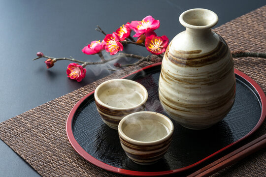 梅の枝 Images – Browse 850 Stock Photos, Vectors, and Video