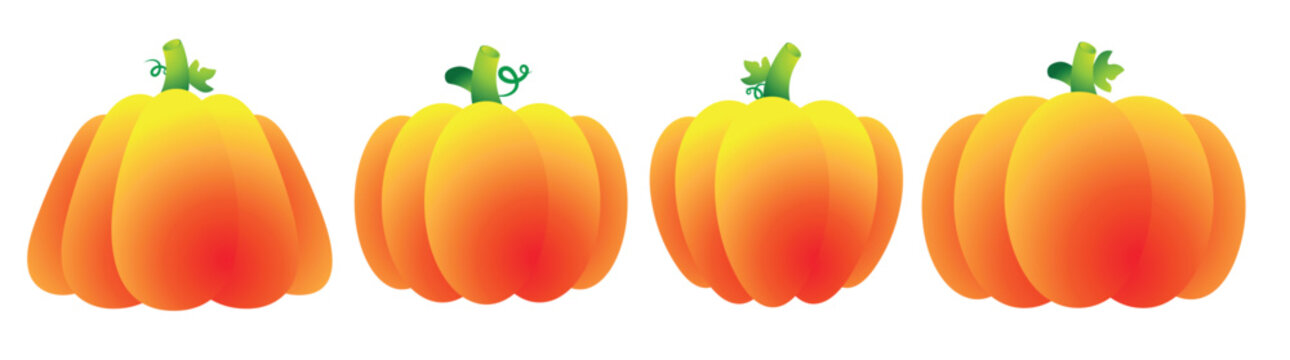 The pumpkin for Thanksgiving day concept