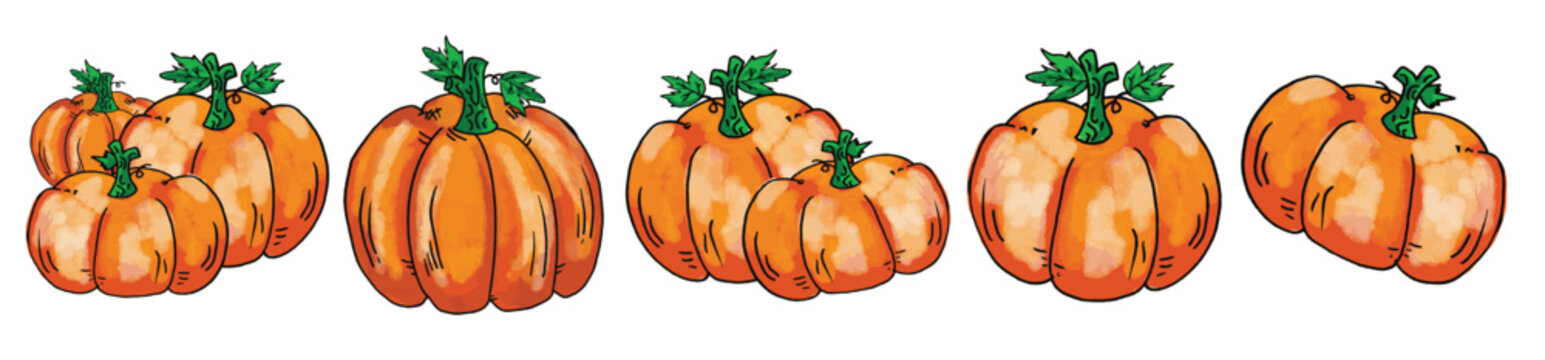 The pumpkin for Thanksgiving day concept png image