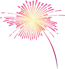 Obraz premium Colorful Firework Burst Elements ,Vector Festival Clipart Set