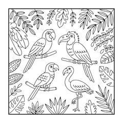Exotic Avian Illustration: A charming, outlined illustration showcases a quartet of vibrant, exotic birds, each perched amidst lush tropical foliage, ready for a creative touch.
