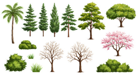 Watercolor botanical illustrations: tropical palm, pines, cypresses, green/yellow deciduous, bare winter, blossoming trees, bushes, grass, isolated on white. Concept for design assets