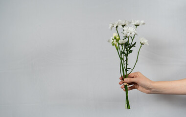 Hand holding white flowers