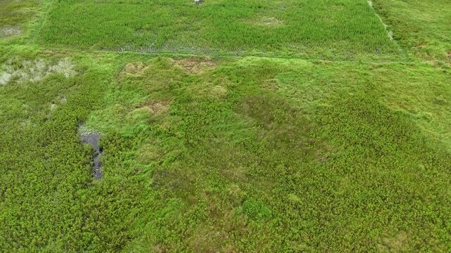 Wide aerial shots show lush green farmland, rice fields, and natural textures. 