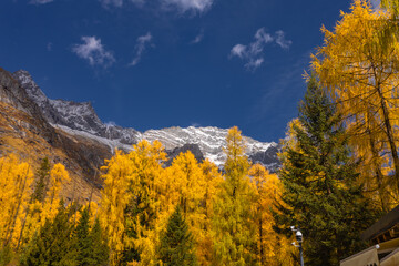 Siguniang Mountains (Four Girls Mountain) is a famous tourist attraction in Sichuan, China, It features mountains, pine forest streams and wild animals and has been certified as a 5A level
