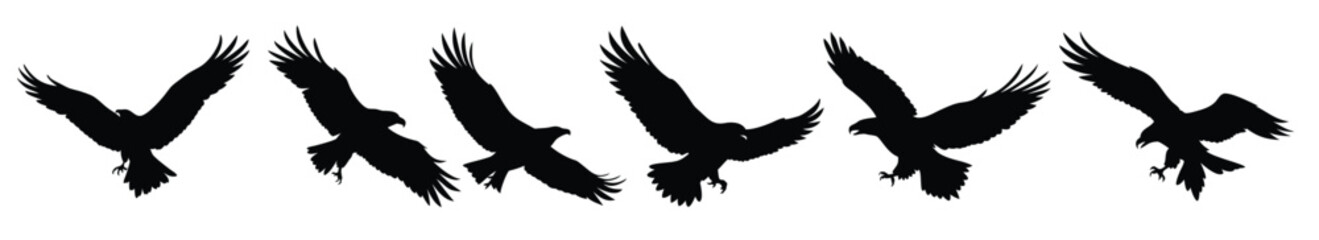 eagle silhouettes black flying bird of prey clipart set  [Converted]