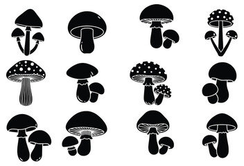 various mushroom icons isolated on white background