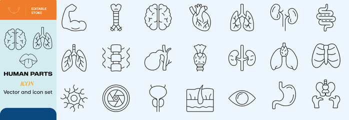 Handdrawn human parts icon set