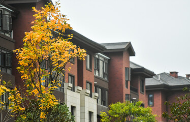 Modern Residential Rise with Autumn Trees Low Angle View