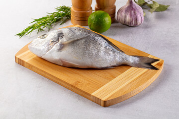 Raw fresh uncooked dorada fish