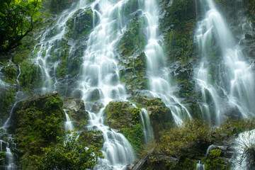 Stunning Laong Dao waterfall cascading gracefully through lush green tropical rainforest in Ranong...