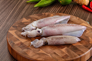 Raw wild calamari for cooking