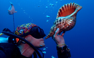 A diver with a beautiful clam shell.