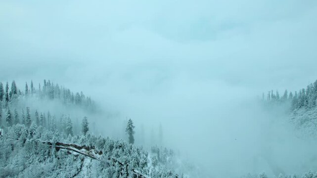4K aerial shot of storm clouds above snow-capped peaks and pine trees, generating intense atmospheric drama across mountains at Manali, Himachal Pradesh, India. Fresh snow on pine trees. Nature scenes