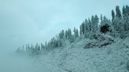 4K Aerial shot of snow covered trees covered with clouds on top of the mountain at Manali, Himachal Pradesh, India. Drone footage of the forest in winter time. Fresh snow on peak. Nature background. - Powered by Adobe