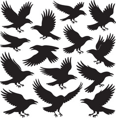 Obraz premium Collection of raven silhouette illustrations on a white background graphic asset