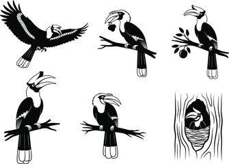 Detailed hornbill bird silhouette vector illustration set showing flying, perching, feeding, and nesting poses, ideal for wildlife artwork, nature themes, and tropical design projects © MDRAZIURRAHMAN