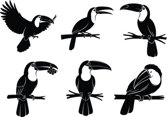 Fototapeta premium Elegant black silhouette toucan bird illustrations perched on branches, expressive tropical wildlife vector design set for nature themes, decorative art, and creative projects