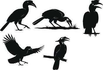Stylized hornbill bird silhouette illustration set showcasing flying, feeding, perching, and walking poses, perfect for wildlife vector design, nature artwork, and tropical themes