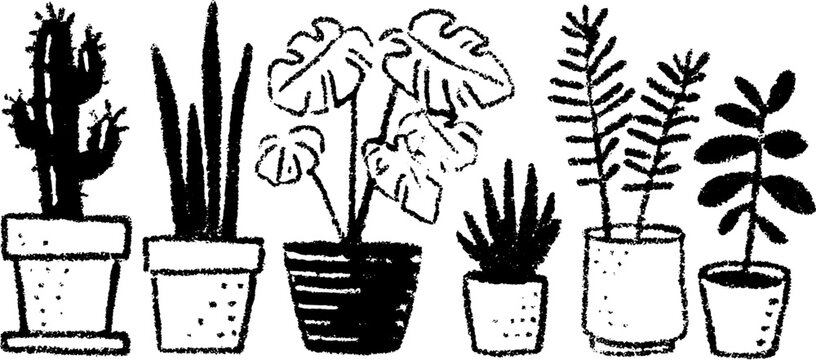 Illustration of various plants in pots, including cacti and foliage. Simple black and white vector illustration set showcasing indoor greenery.