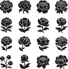 Floral Icon Set Black and White Peony Flower Illustrations Vector