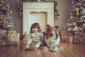 H&uuml;bsches kleines M&auml;dchen mit Locken sitzt mit ihrem rough Collie  sable vor dem Weihnachtsbaum zu Weihnachten, Abendstimmung mit Lichtern Var. 11
