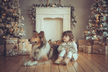 H&uuml;bsches kleines M&auml;dchen mit Locken sitzt mit ihrem rough Collie  sable vor dem Weihnachtsbaum zu Weihnachten, Abendstimmung mit Lichtern Var. 10